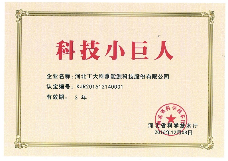 科技小巨人 (图1)