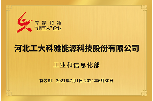 国家级专精特新“小巨人”企业(图1)